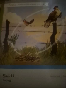 Ecology Amplify Core Knowledge Language Arts Grade 3 Unit 11 Activity Book - Bild 1 von 1