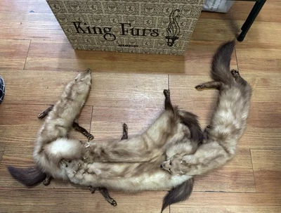 Estola envolvente bufanda de zorro rojo vintage con 4 pieles de zorro genuinas y broche taxidermia rara Foto 1 de 4