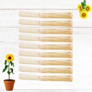  500 G Rat Chew Toys Chinchilla Molar Sticks Bamboo Chews for Rabbits - Picture 1 of 11