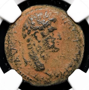 ANTIOCH. Otho, AD 69. Æ22, Large SC in wreath, NGC Fine - Picture 1 of 4