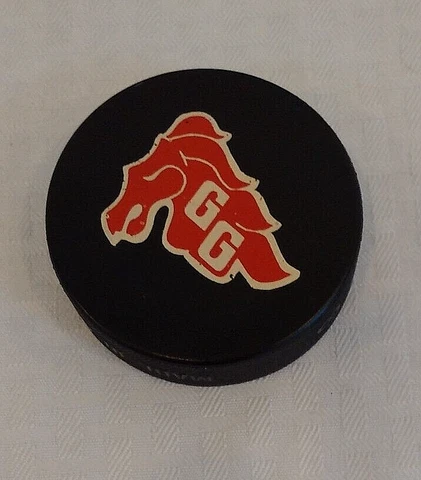 Vintage 1960s 1970s University Ottawa GEE GEES Logo Hockey Puck Rare College NFL Cover