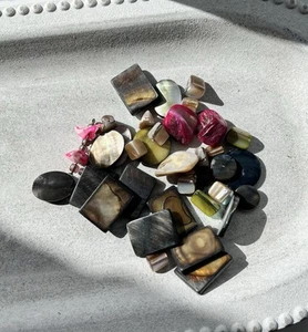 Mixed Dyed Shell Abalone Beads - Picture 1 of 2
