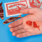 Fortune Teller Miracle Fish - Set of Three Fish - Red Fish Tells Future!