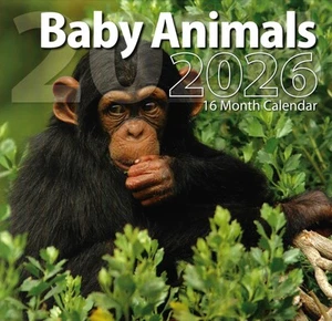 Calendario de pared 2026 Baby Animals 16 meses (septiembre 2025 hasta diciembre 2026) 12"x12" - Imagen 1 de 2