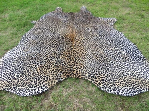 LARGE ! LEOPARD print printed Cowhide Rug natural Cow Hide Skin zebra tiger LP - Picture 1 of 10