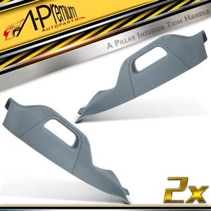 2x A-Pillar Trim Interior Handle for Ford F-250 350 450 550 Super Duty 2011-2016 - Picture 1 of 8