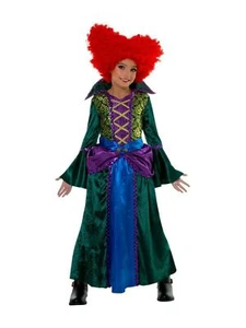 Hocus Pocus Winifred Sanderson Salem Sisters Bossy Witch Child Costume + Wig - Picture 1 of 2