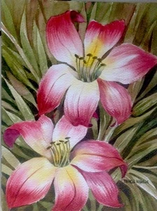 Pintura Acuarela Original Primavera Lirio Oliva Borgoña 9X12 Por Pamela Wilhelm - Imagen 1 de 5