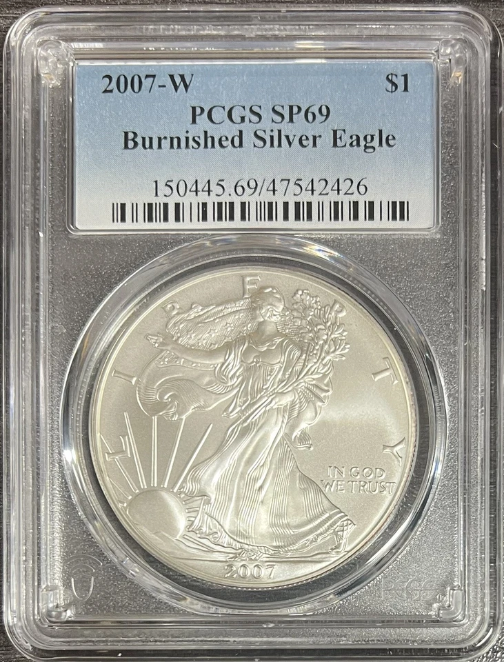 W Burnished Silver Eagle 2007 graduación profesional SP69 Foto 1 de 1