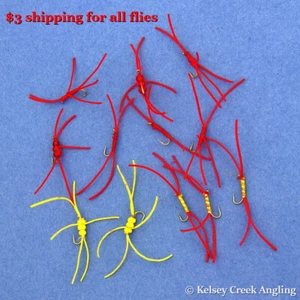 1 Dutzend (12) Würmer Auswahl - Bild 1 von 1