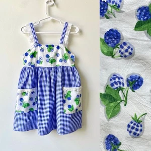 Vintage 4T Fruit Dress Blackberry Gingham Plaid Floral 90s Sundress Blue VGUC - Picture 1 of 8