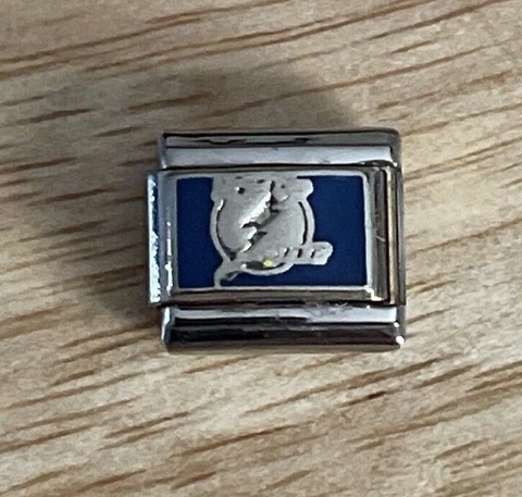 NHL Tampa Bay Lightning Italian Charm Link for Bracelet, Licensed Peter David Cover