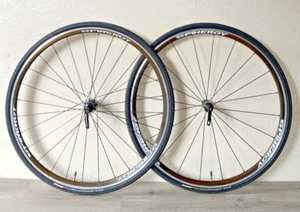 SPINERGY WHEELSET 700C 20-28 HOLE 19.25 MM WIDTH CAMPAGNOLO 9 OR 10 SPEED - Picture 1 of 18