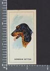 Gordon Setter dog Dogs Heads by G.P. Tea card #5