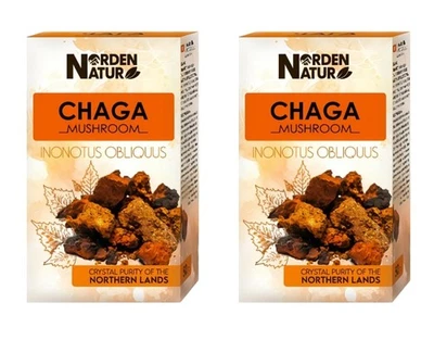 Birkenporling Chaga 2 x 50 g Schiefer Schillerporling Norden Natur Tschaga Чага - Bild 1 von 4