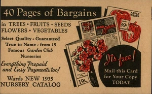 St. Paul,MN Montgomery Ward,Garden Nursery Catalog Advertising Minnesota - Picture 1 of 2