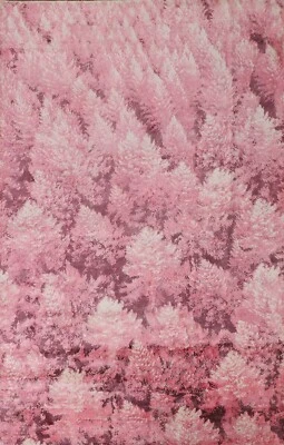 Nature Print Abstract Indian Area Rug 6'x9' Wool Hand-knotted Living Room Carpet - Image 1 of 4