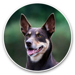 2 x Vinyl Stickers 20cm  - Australian Kelpie Sheep Dog Farm Dogs  #44169 - Picture 1 of 8