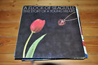 A Flock Of Seagulls - The Story Of A Young Heart - Pop 80S - Album Vinyl Lp