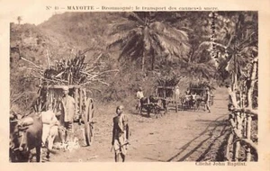 Comores - MAYOTTE - Dzoumogné - Le transport des cannes à sucre - Cliché John Ba - Imagen 1 de 2