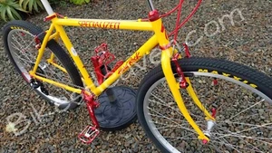 Mint 1991 Specialized Hardrock 18" (Medium) converted to 1x7 urban cruiser - Picture 1 of 24