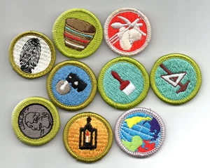 Merit Badge Boy Scouts of America 1970s solid embroidered individual sale - Picture 1 of 13