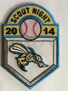 2014 Houston Area Council Sugar Land Skeeters Baseball Scout Night - Picture 1 of 1