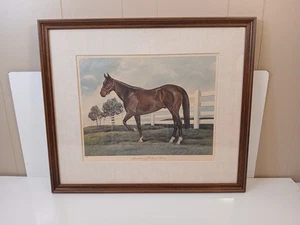 John A. Ruthven signiert nummeriert Porträt Bardstown von Calumet Farm Rennpferd... - Bild 1 von 12