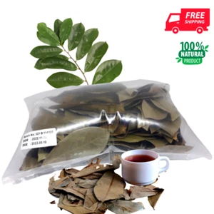 50 Pcs Dried Dehydrated Soursop Leaves Graviola Guanabana Natural Organic Tea - Picture 1 of 13