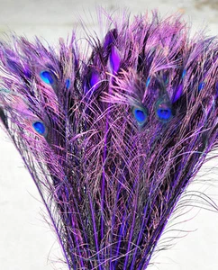Dyed Peacock Eye Feathers 30-35 inch 12 Pieces - Purple (GA, USA) - Picture 1 of 1