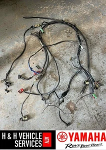 USED Honda TRX 300 2WD 1996 complete wiring loom - Picture 1 of 1