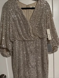 NWT ELIZA J Sequined Blouson Shift Dress with Balloon sleeves in Silver Size 8 - Picture 1 of 5