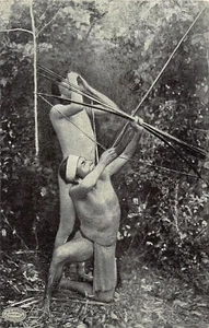 Brasil - Rio Doce - E. do Espirito Santo - Indios Botucudos - Cacique atirando u - Picture 1 of 2