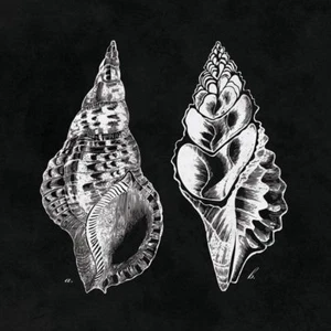 Elegant Negative I N Harbick Art Print 12x12 - Picture 1 of 1