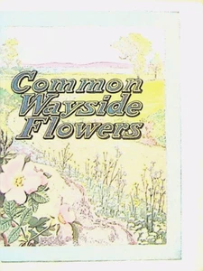Common Wayside Flowers Booklet Dwinell Wright Co White House Coffee Tea 1916 - Picture 1 of 5
