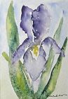 Iris - Original ACEO or ATC Unmatted watercolor miniature painting