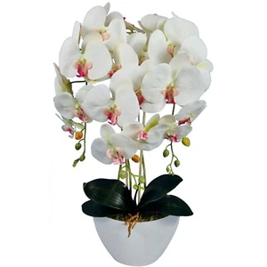 Künstliche Orchidee Weiß Orchideenherz Rosa 60 cm - Bild 1 von 1