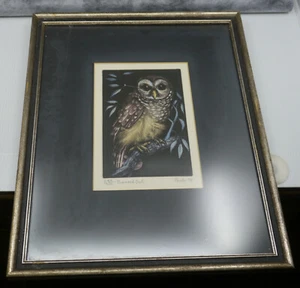 JACK COUTU SIGNED LIMITED EDITION ETCHING, BARRED OWL, FRAMED & MATTED, 1970 - Picture 1 of 7