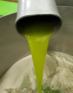 Pure Olive Oil 100% Fresh Palestine Holly Land Nablus 1.125Liter Delicious 2024 - Picture 1 of 10