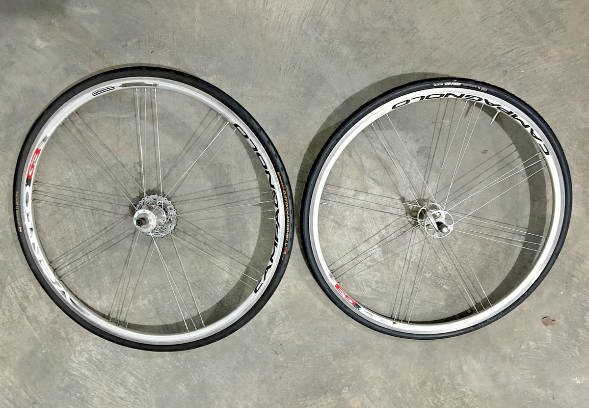 Campagnolo Vento for sale | eBay