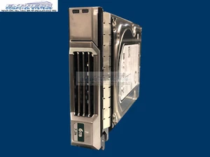 Repuesto Dell Equallogic 6 TB NL SAS 7,2 K con bandeja para PS4100E PS4100 - Imagen 1 de 2