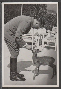 ✔️ 3. REICH SELTENE FOTOKARTE AUS OFFIZIELLES ALBUM "DEUTSCHLAND ERWACHT" 12 X 8 CM - Bild 1 von 2