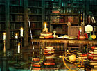 Alchemist Death Lab Backdrop Skull Bookshelf Background Photography Studio Props