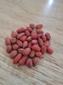 Cacahuetes Tápiószele Landrace 5+ Semillas - RELIQUIA HÚNGARA H 160 - Imagen 1 de 1