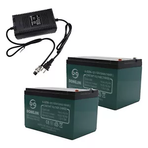 2Pack 6-DZM-12 Battery+Charger For 24V Electric Go Kart ATV Quad Scooter Razor - Picture 1 of 10