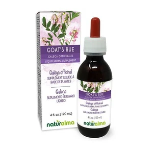 Naturalma Goat's rue Galega officinalis herb with flowers Alcohol-free Tinctu... - Picture 1 of 7