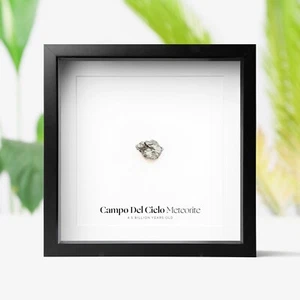 Campo Del Cielo Meteorite Real Meteor Fragment Home Decor Wall Art Box Frame - Picture 1 of 5