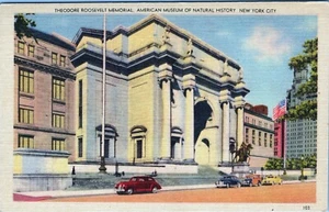 Theodore Roosevelt Memorial American Museum New York City Postcard Unposted - Picture 1 of 2
