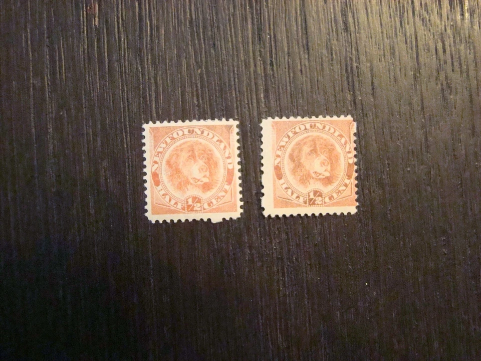 Newfoundland #56-57 MOGH - Image 1 of 1