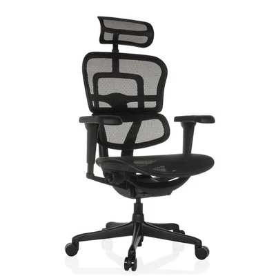 Bürostuhl Chefsessel ergonomisch ERGOHUMAN GEN2 Drehstuhl Schwarz hjh OFFICE